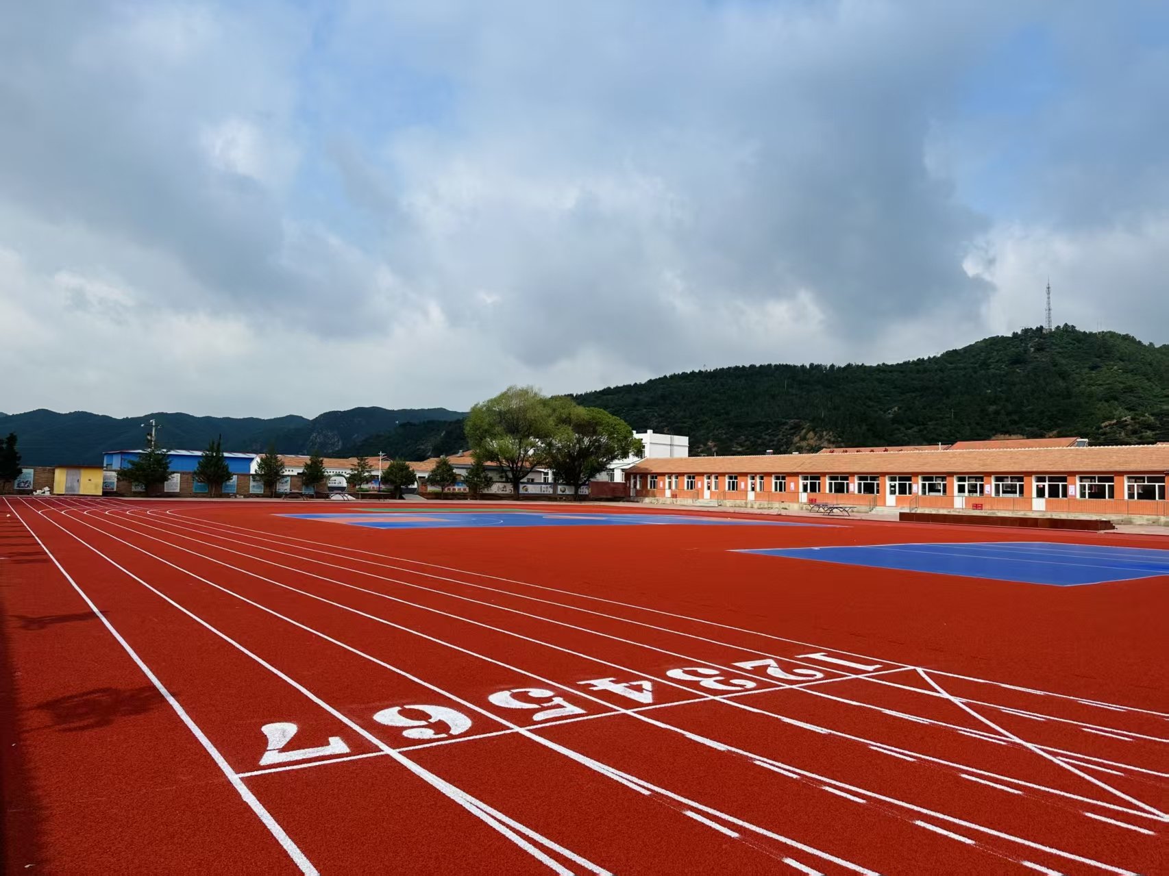 东方市自结纹塑胶跑道塑胶跑道材料 - 哪里好